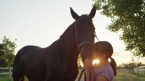CLOSE UP: Charming happy little girl kissing beautiful big brown horse at sunset Stock Footage
