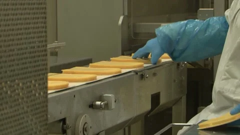 Close-up cheese line at food processing plant. Dairy products at conveyor belt. Stock Footage 336444348