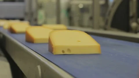 Close-up cheese line at food processing plant. Dairy products at conveyor belt. Stock-Footage 336444365
