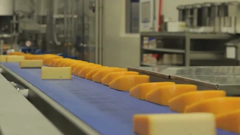 Close-up cheese line at food processing plant. Dairy products at conveyor belt. Stock Footage 336444376