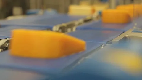 Close-up cheese line at food processing plant. Dairy products at conveyor belt. Stock Footage 336444382