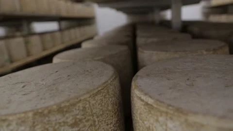 Close up on cheese wheels on shelves Stock Footage 131305570