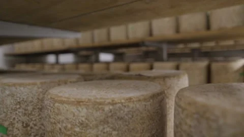 Close up on cheese wheels on shelves Stock Footage 131305642