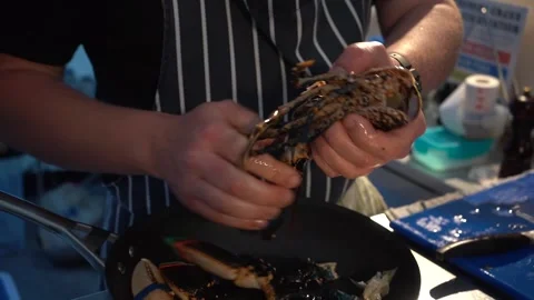 Close Up - Chef Breaking Lobster Claws Stock Footage 283666800