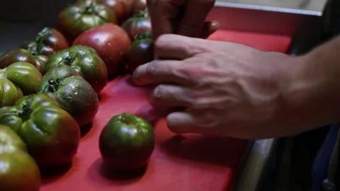 Close up of chef cleaning tomatoes Stock Footage 137945809