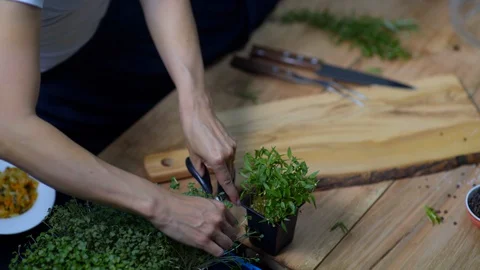 Close up chef cutting fresh herbs for meal on wooden board, Portugal Stock Footage 129068885