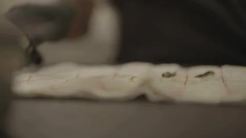 Close-up of chef cutting seafood on towel 库存影片 336374456