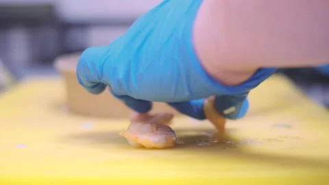 Close up of chef cutting Shrimps 库存影片 236054893