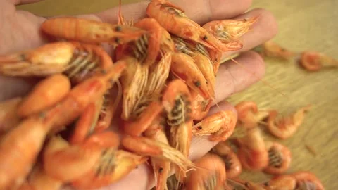 Close-up of a chef in gloves cutting a shrimp with a knife in the restaurant Stock Footage 157398382