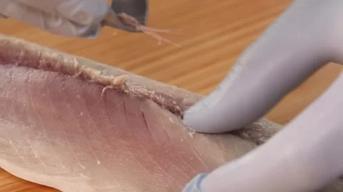 Close-up of Chef in Gloves Removing Pin Bones from Fresh Hamachi Fillet Stock Footage 333500609