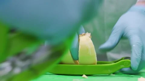 Close-up of Chef in Gloves Slicing Fresh Apples with Corer Tool for Dessert Prep Stock Footage 337751332