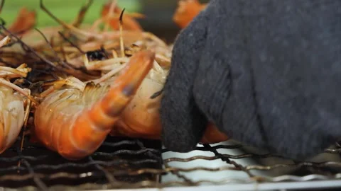Close-up of Chef Grilling Fresh Giant River Prawns on a Charcoal BBQ Grill Stock Footage 344228264