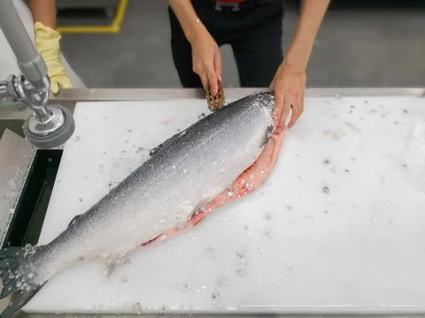 Close up chef hand cutting fish Foto stock