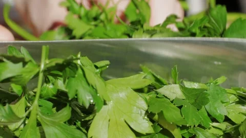 Close-up of chef hands cutting green parsley leaves on a cutting board with a Stock Footage 270970359