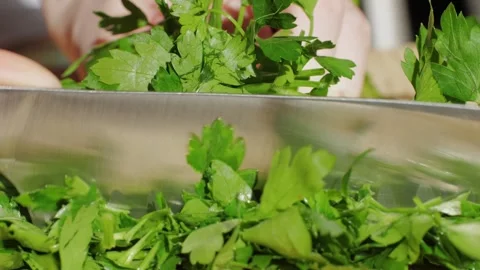 Close-up of chef hands cutting green parsley leaves on a cutting board with a Stock Footage 280190073
