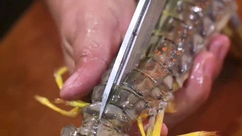 Close-Up of Chef Hands Cutting Raw Mantis Shrimp Shell with Kitchen Scissors Video stock 344218597