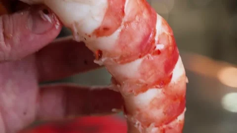 Close-Up of Chef Holding Freshly Cooked King Crab Meat Vídeo Stock 344231030