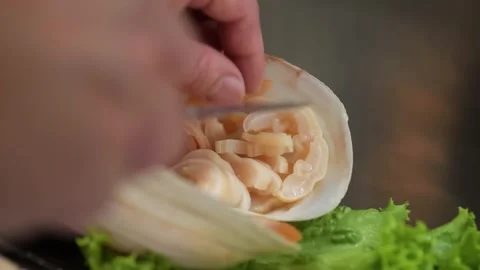 Close-Up of Chef Preparing Fresh Geoduck Clam Meat in Shell Video stock 344230322