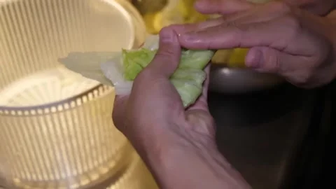 Close-Up of Chef Preparing Fresh Lettuce Leaves for Cooking Video stock 347689511