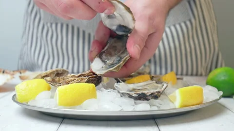 Close-up Chef preparing fresh Oysters from crushed ice by opening with a knife. Stock Footage 146256497