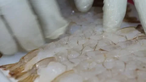Close-up of chef preparing raw fresh butterfly prawns on white surface Video stock 343028909