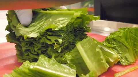 Close-up of Chef Slicing Fresh Romaine Lettuce for Italian Pizza Toppings on a R Stock Footage 337678654