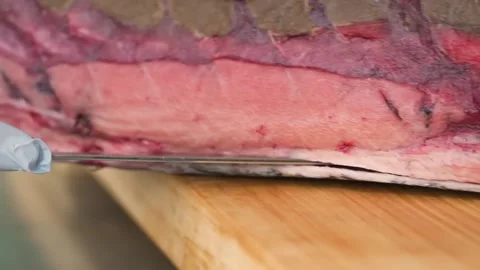 Close-up of Chef Slicing Fresh Tuna Loin Showing Bloodline Stock Footage 333600513