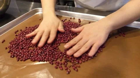 Close-Up of Chef Sorting and Spreading Red Adzuki Beans on a Metal Baking Sheet Stock Footage 345293671