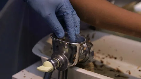 Close-up of the chef's hand chopping meat with a meat grinder. Stock Footage 94958810