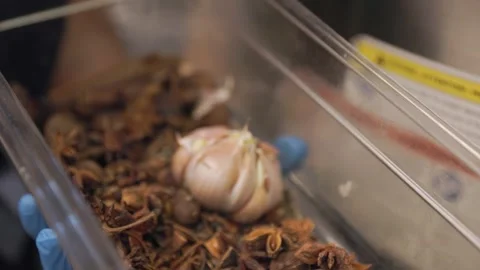 Close up chefs hands with aromatic spices, star anise, garlic, kitchen prep. 4K Stock Footage 258808031
