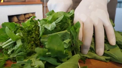 Close-up of Chef's Hands Cutting Fresh Organic Spinach on Wooden Board for Itali Stock Footage 337677107