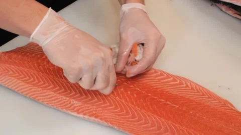 Close-up of Chef's Hands in Gloves Deboning and Preparing Fresh Atlantic Salmon Stockbeeldmateriaal 333489169
