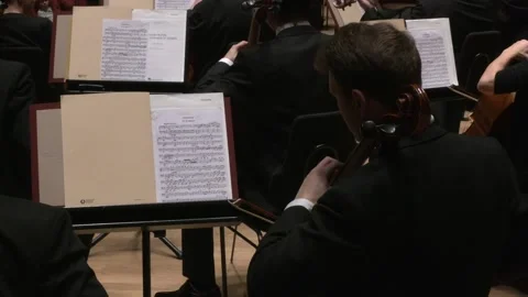 Close up on chelloist and chello Stock-Footage 238734137