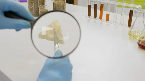 Close up of chemist working with terpene CBD crystals in laboratory Stock Footage 128599372