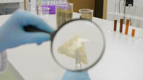 Close up of chemist working with terpene CBD crystals in laboratory Stock Footage 141913449