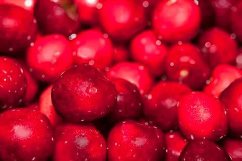 Close up of cherries Photos