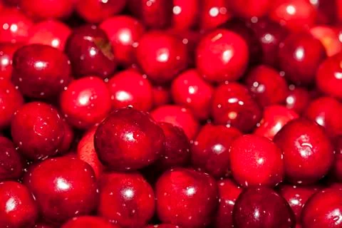 Close up of cherries Fotos Stock