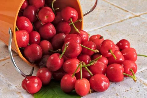 Close up of cherries on a table Stock Photos