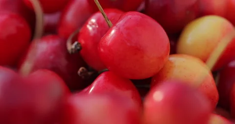 Close Cherry Rotation with a Soft Foreground Layer Vídeo Stock 135634525
