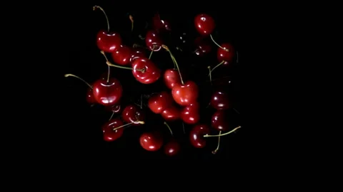 Close-up of cherry with sprigs on black background Stock Footage 120089838