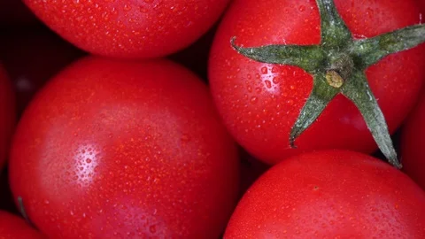 Close up cherry tomato Stock Footage 97288220