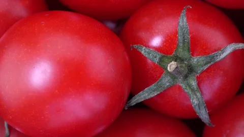 Close up cherry tomato Stock Footage 97288317