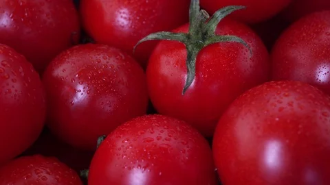 Close up cherry tomato Stock Footage 97288822