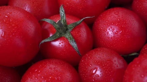Close up cherry tomato 库存影片 97288832