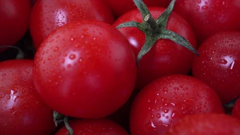 Close up cherry tomato Stock Footage 97288897