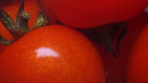 Close up cherry tomato Stock Footage 97289044