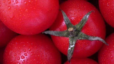 Close up cherry tomato Stock Footage 97375412