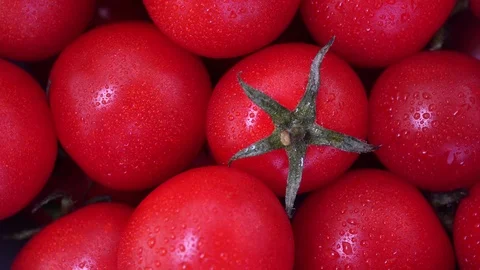 Close up cherry tomato Stock Footage 97375465
