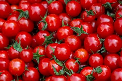 Close up cherry tomatoes for background Stock-Fotos