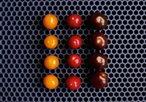Close-up of cherry tomatoes on a black background Stock Photos